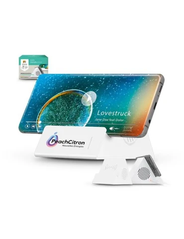 ENCEINTE 3W BT 5.0 & CHARGEUR A INDUCTION
