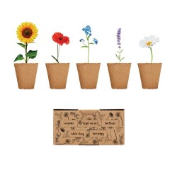 Kit de Culture de Fleurs - Éveillez votre Jardin