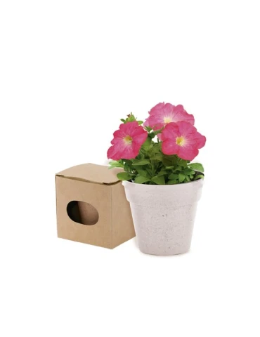 Pot de Fleurs Pratique et Biodégradable Personnalisé - Advert