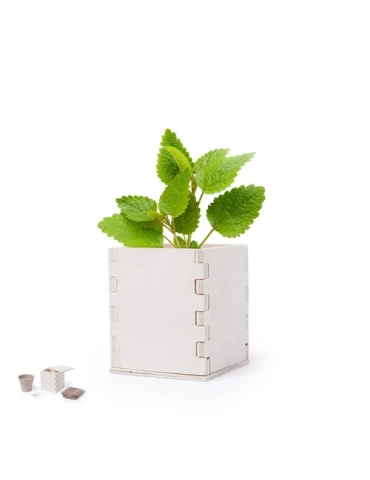 Pot de Fleurs Écologique Personnalisé - Merin