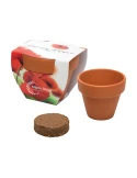 Growing Kit with Sleeve