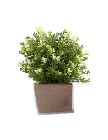 Green Seed Bags graines de fleurs