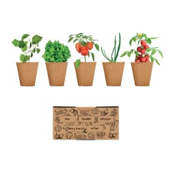 Kit de Culture de Salade : Faites pousser votre jardin