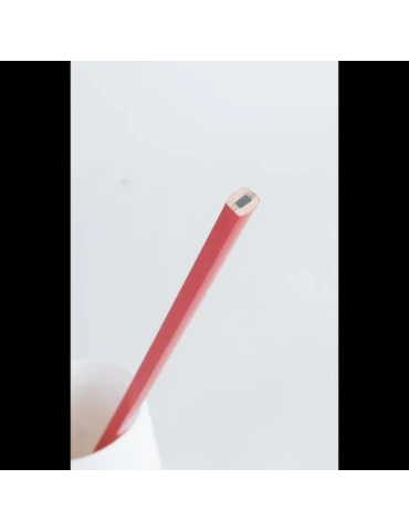 Crayon Publicitaire Écologique Charpentier Pantone