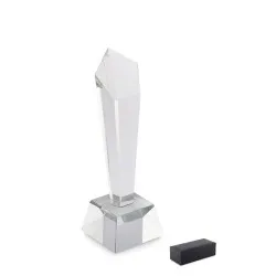Trophée en cristal personnalisé dans un coffret - DIAWARD