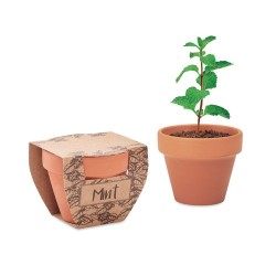 Pot à Menthe Écologique - MINT POT