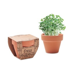 Pot de Cresson Écologique - Cress Pot