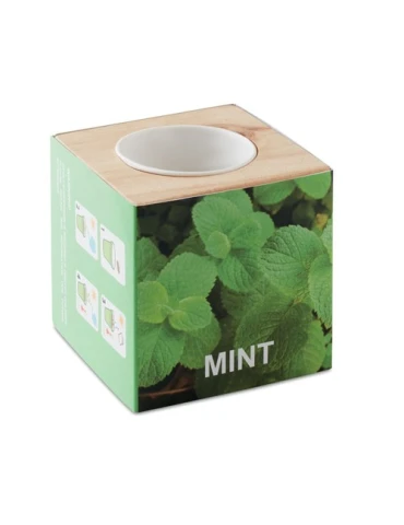Pot en bois personnalisé avec graine de menthe MENTA