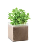 Substrat Écologique avec Graines de Basilic - Pratique pour Jardiniers