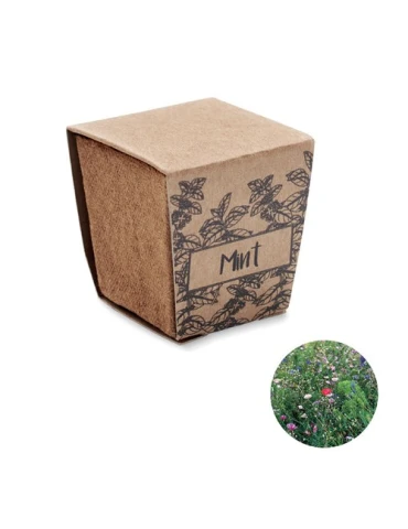 Kit publicitaire de graines de menthe MINT KIT