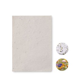 Papier A6 Graines de Fleurs ASIDO - Écologique & Unique