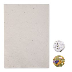 Papier A4 Graines de Fleurs ASIDI - Écologique et Pratique