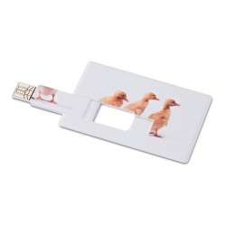 Clé USB Publicitaire Carte de Crédit 32GB