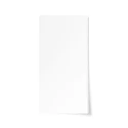 Étiquettes Bristol Blanches Neutres en Sac de 100 - 55x28 mm