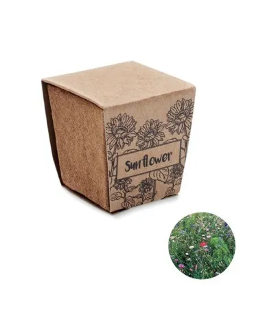 Kit de tournesol personnalisé écologique SUNFLOWER KIT