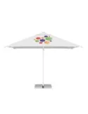 Parasol Strong