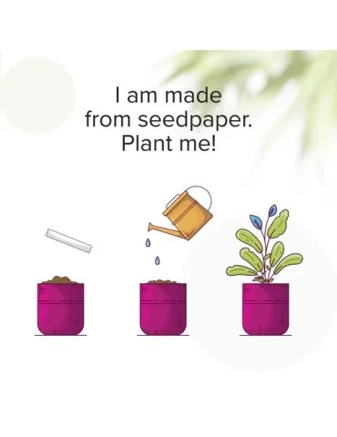 Seed Paper Bookmark marque page