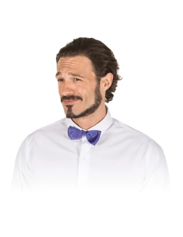 noeud papillon