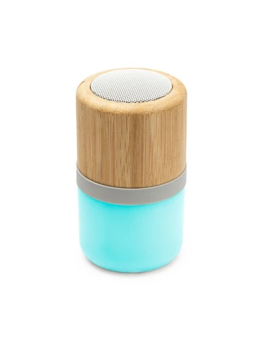 enceinte multifonctions