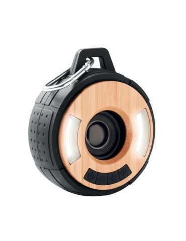enceinte multifonctions