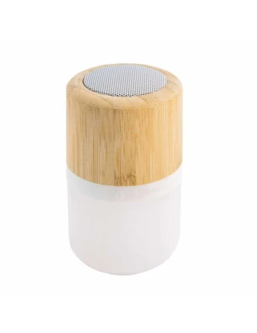 enceinte multifonctions