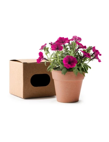 pot de fleurs