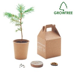 Set de graines GROWTREE™ - Offrez un arbre unique