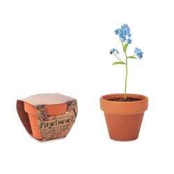 Pot graines de myosotis Forget Me Not