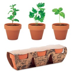 Ensemble de 3 Pots en Terre cuite pour Herbes Aromatiques