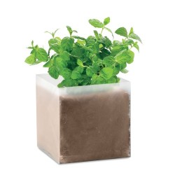 Substrat avec Graines de Menthe MINT