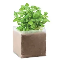 Substrat Écologique avec Graines de Basilic - BASIL