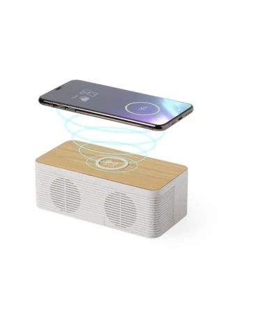 Haut-Parleurs Écologiques Pratiques avec Chargeur Trecam
