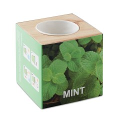 Pot en Bois avec Graine de Menthe - Idéal pour votre Maison