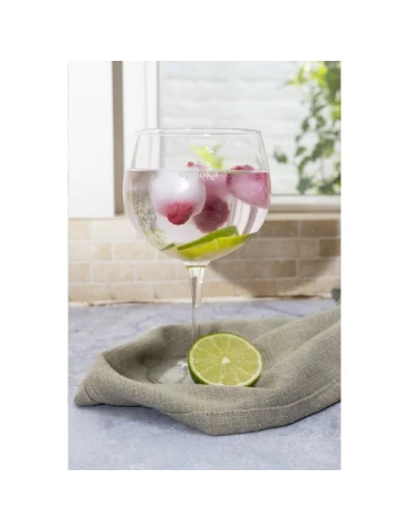 Verre à Cocktail Gin 700 ml